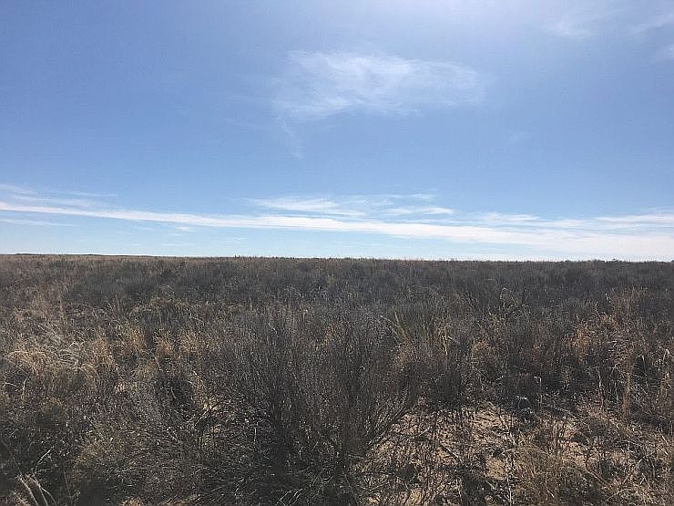 1st image of Farm To Market Rd #76916438