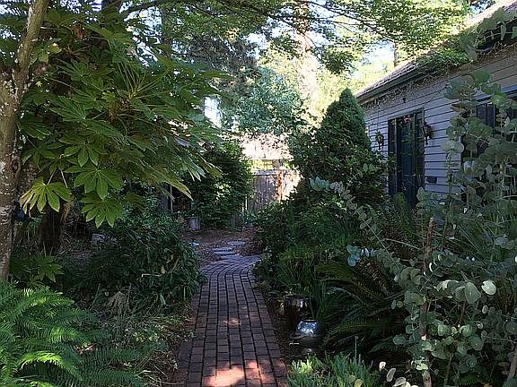 Path from drive way to door 