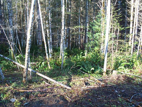 4th image of 13 E Pathfinders Dr Lot E