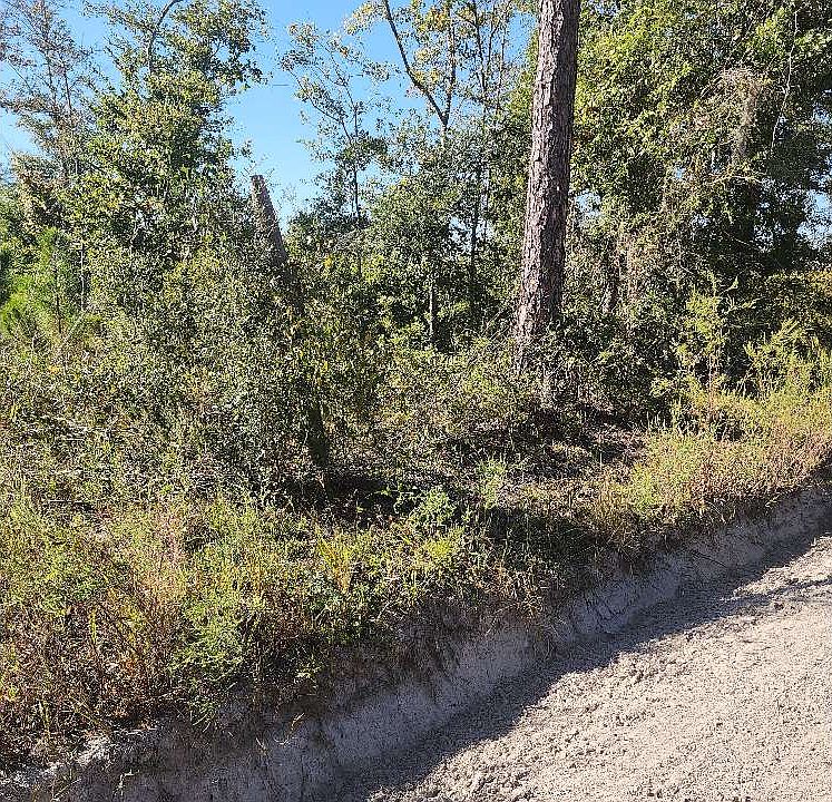 2nd image of SE High Falls Rd