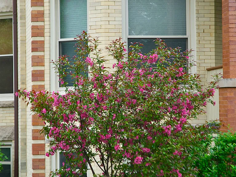176-178 N. Humphrey Ave. — Photo 17