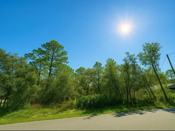 12036 Limpkin Rd, Brooksville, FL 34614