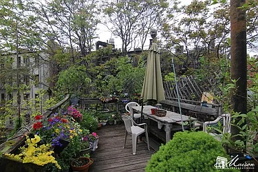 Rented by Maison International