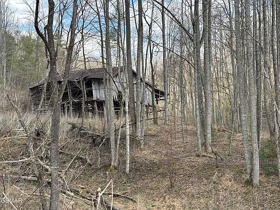 5th image of TRACT 2 Bull Mountain Rd