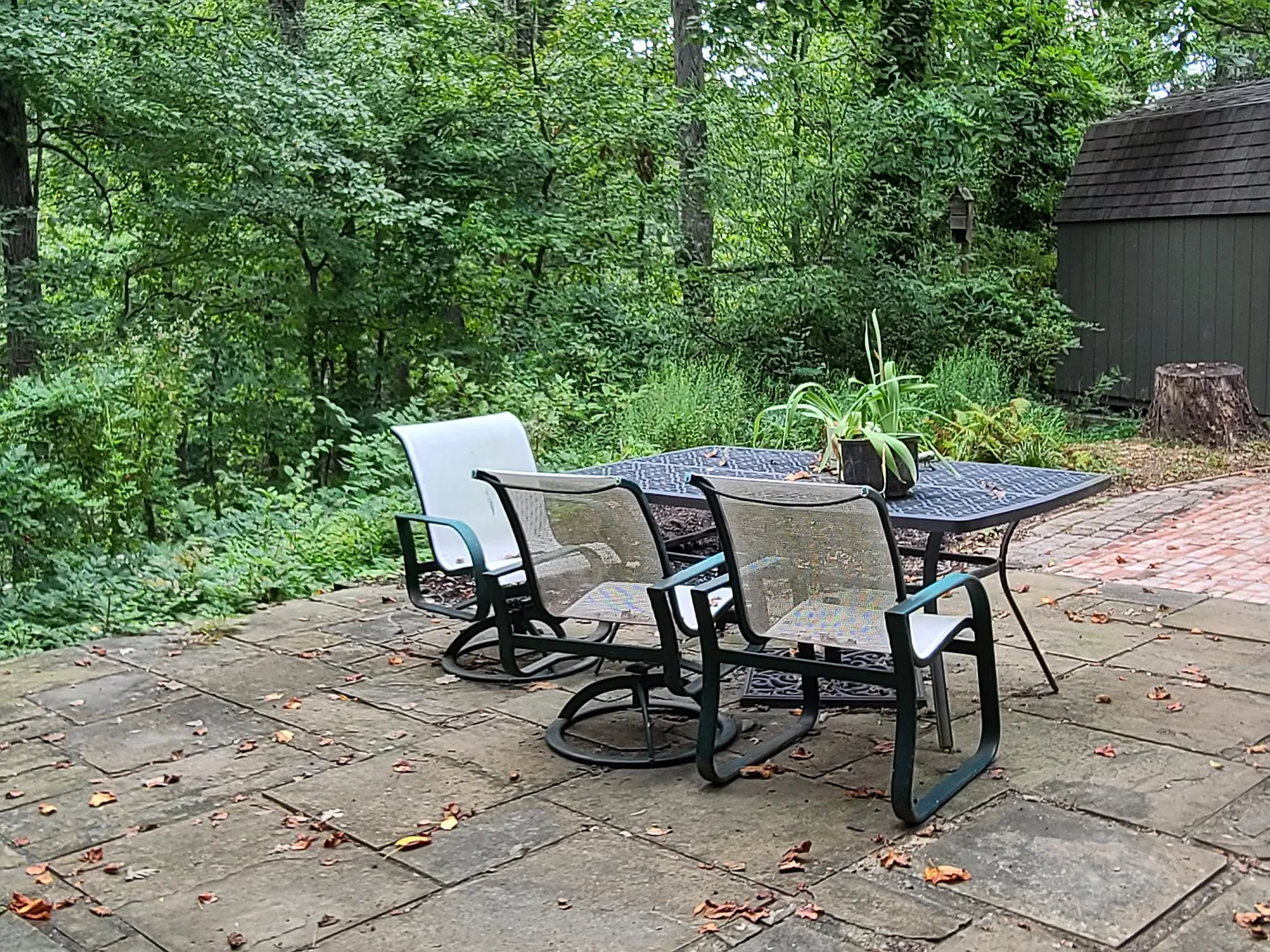 1 bed, 350 sqft, $1,650 — Photo 4