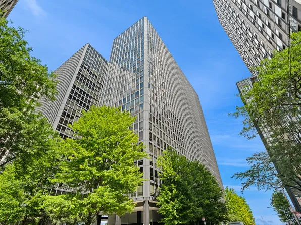 900 N Lake Shore Dr APT 911, Chicago, IL 60611
