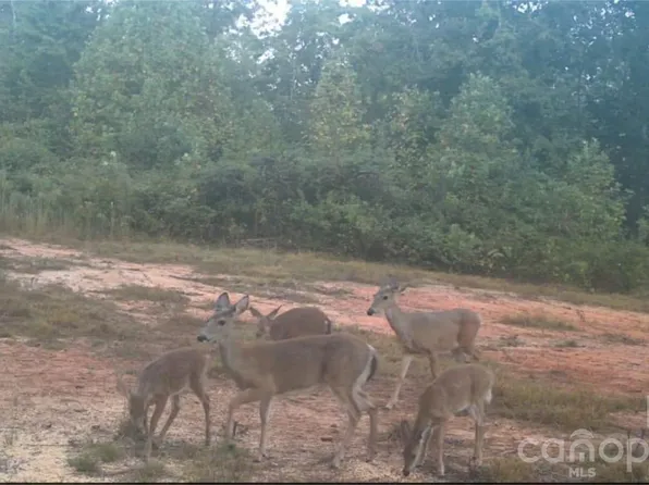 4204 Bennett Rd, Morganton, NC 28655