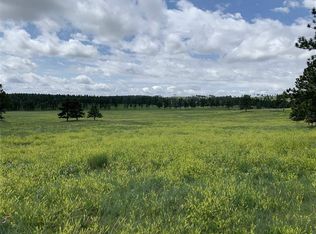 11390 255th St, Custer, SD 57730