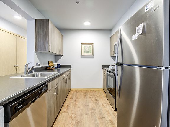 Modern Kitchen