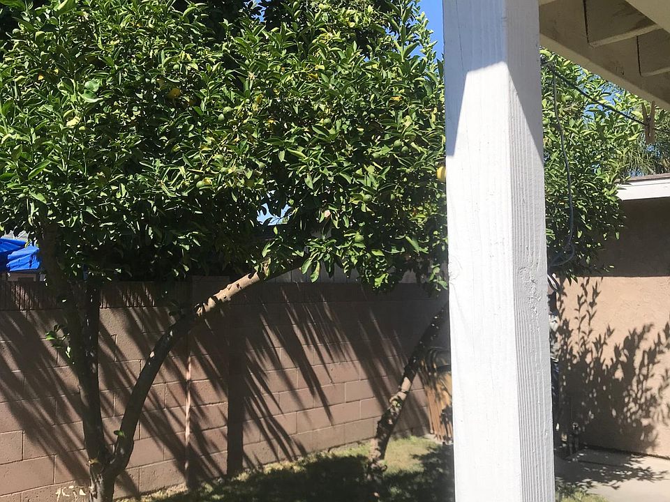 1st image of 11303 Brink Ave
