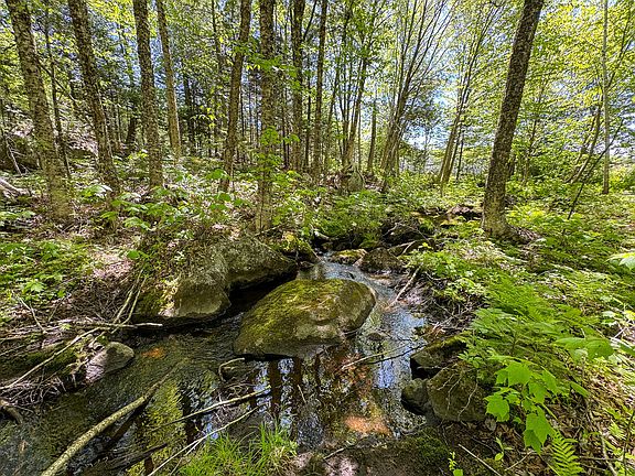 4th image of Lot 10 Morrison Brook Acres