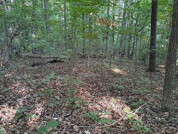 5th image of 0 Ridgemont Dr Lot 55