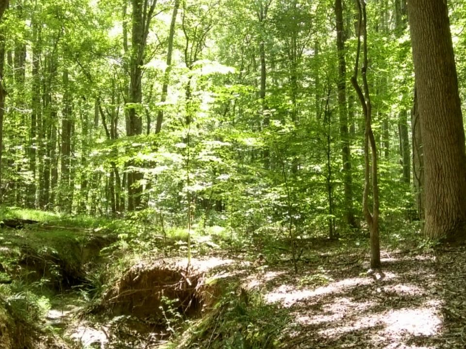 2nd image of 8109 Moores Mill Ct