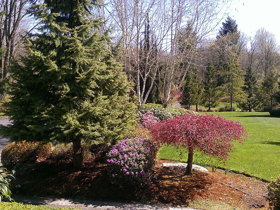 2nd image of 25433 NE 39th Way