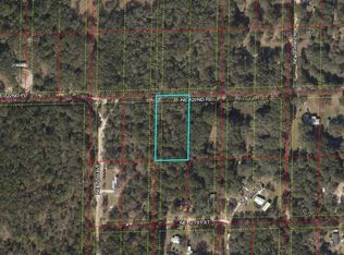 Tbd Ne 122 Pl, Bronson, FL 32621