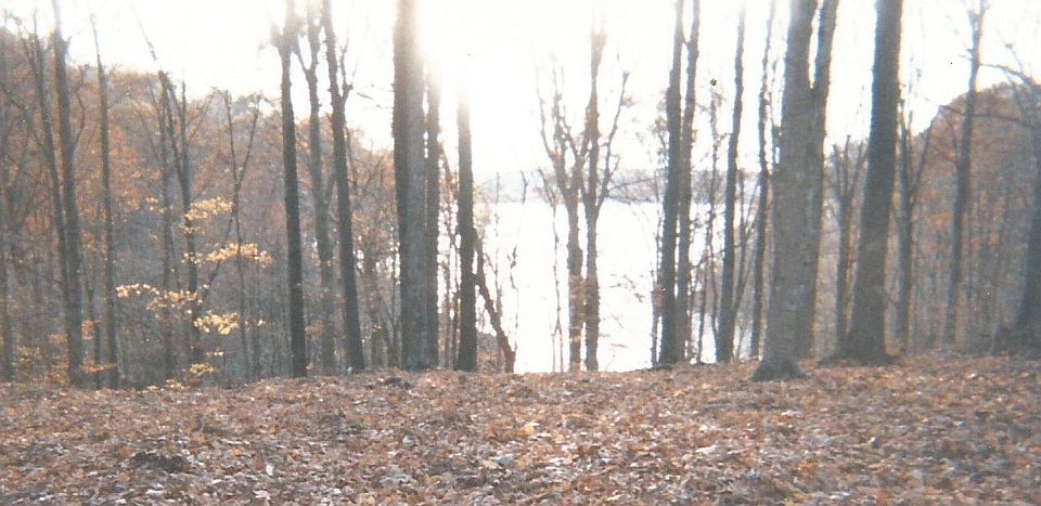 1st image of Grandview