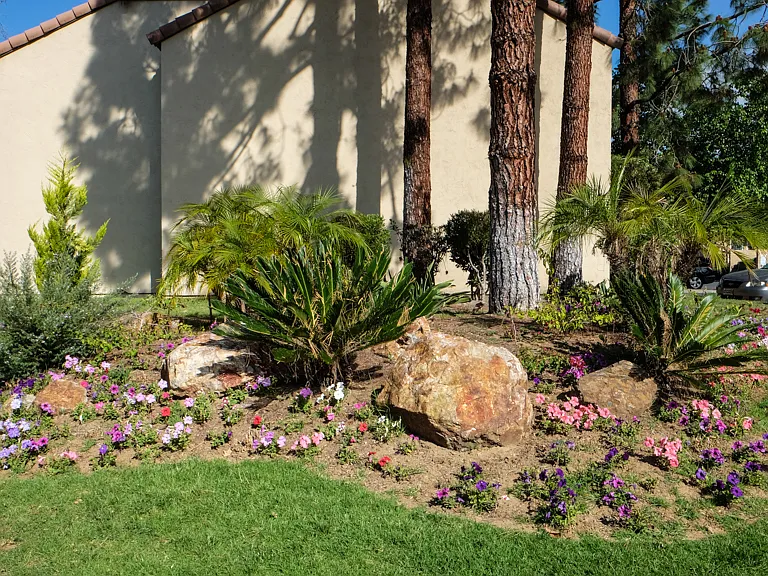 The Hills — Photo 7