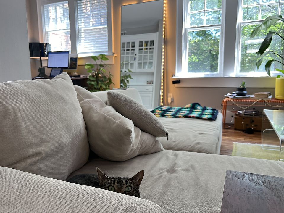 Sunny living room!