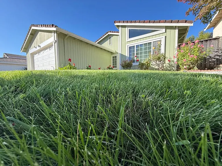 33534 Trinculo Ln — Photo 3