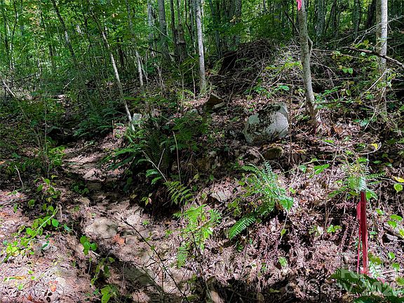 4th image of 99999 High Top Mountain Rd Lot 2