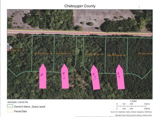 0 Sand Rd, Cheboygan, MI 49721