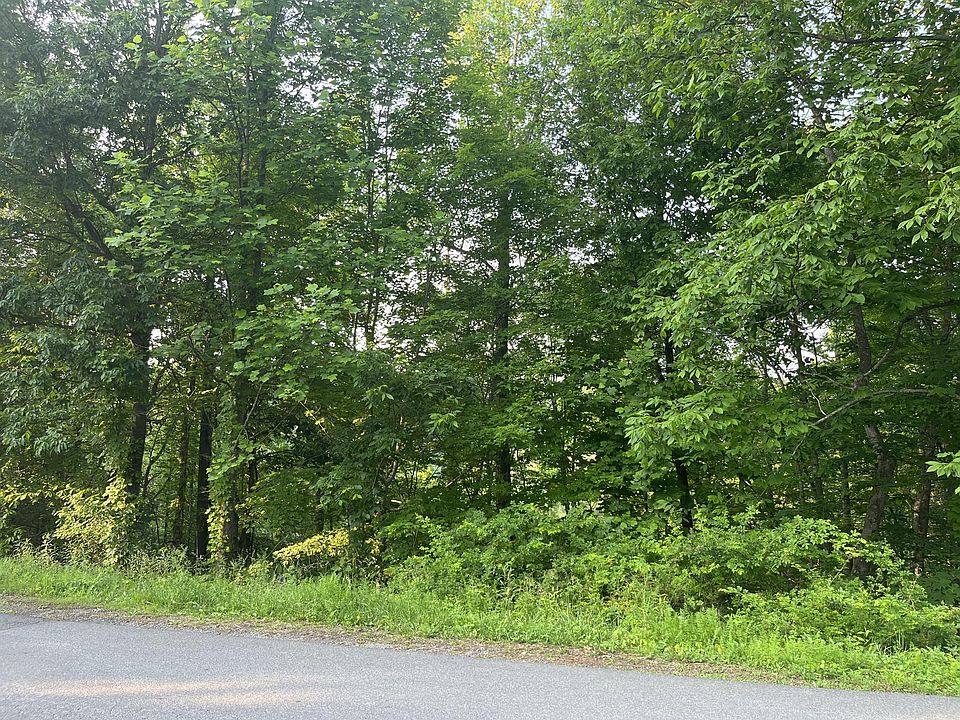 2nd image of 0 Ski View Ln