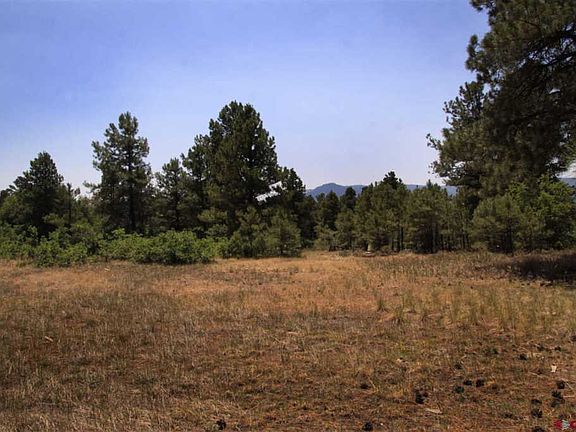 5th image of 445 Bonanza Ave