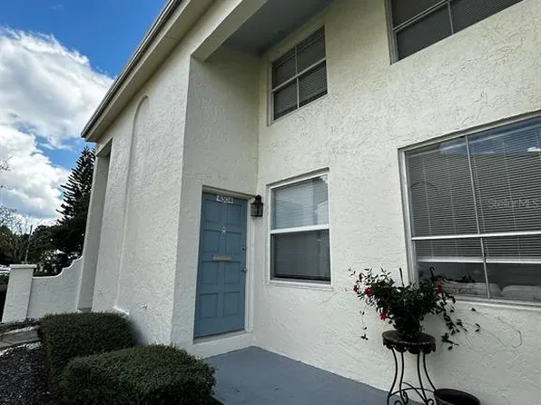 4304 La Mora Ct, Tampa, FL 33611
