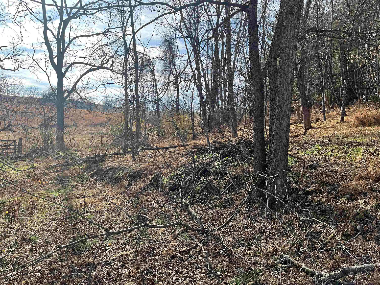 Buttermilk Spring Rd photo 1