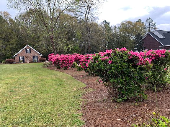 Azaleas & workshop in back