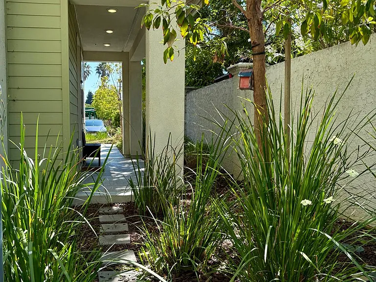 40665 Squill Cmn — Photo 28