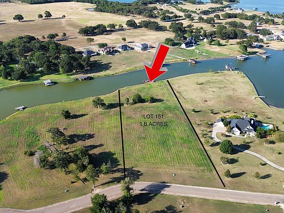 4th image of Crepe Myrtle Lot 151