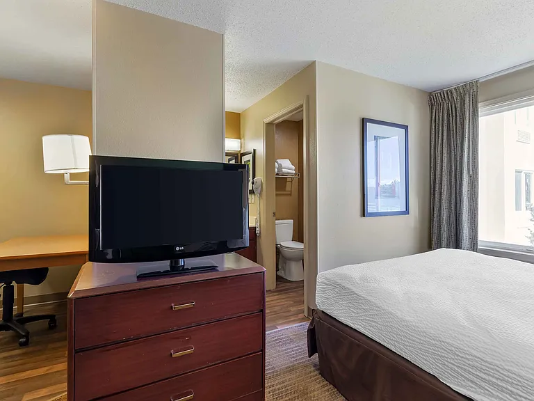 Studio Suite - 1 Queen Bed