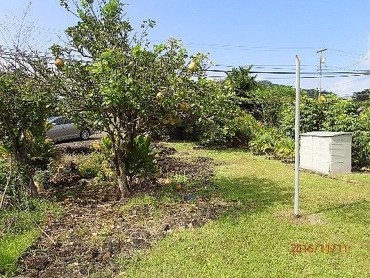 5th image of 341 Kaumana Dr