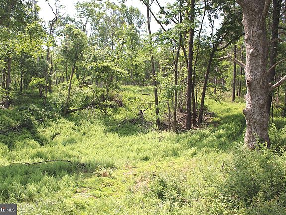 5th image of 76.90 Ac Off