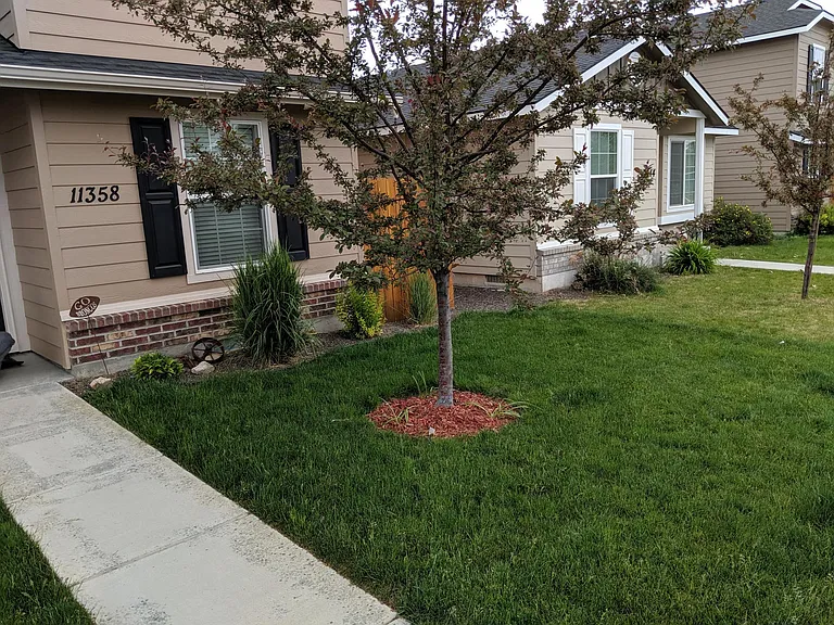 11358 W Dreamcatcher St — Photo 7