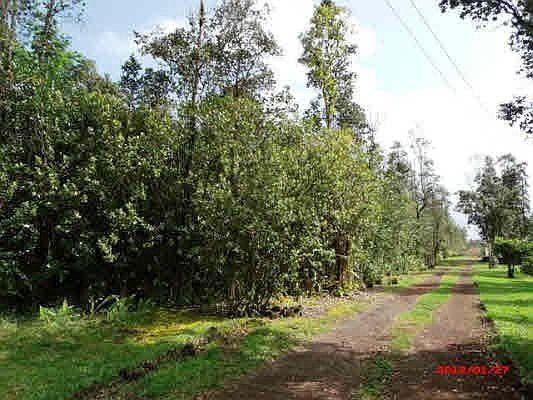 2nd image of Pualani St Lot 17