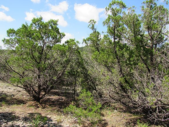 5th image of PR 1734 Lot 113D