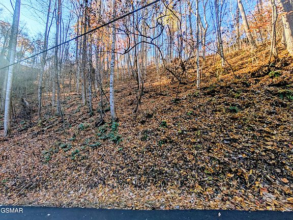 2nd image of LOT 339 Ridgefield Dr