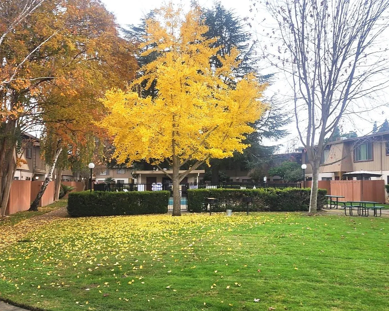 Howe Manor East Apartments — Photo 2