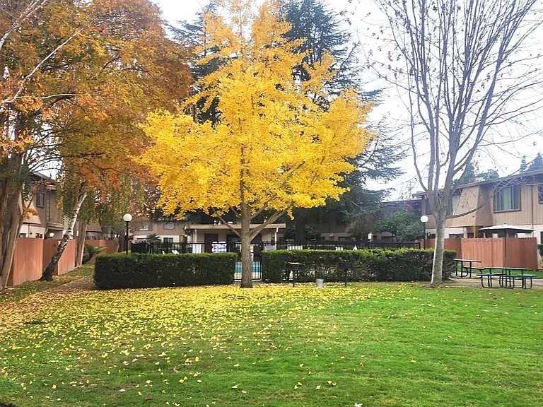 Howe Manor East Apartments — Photo 1