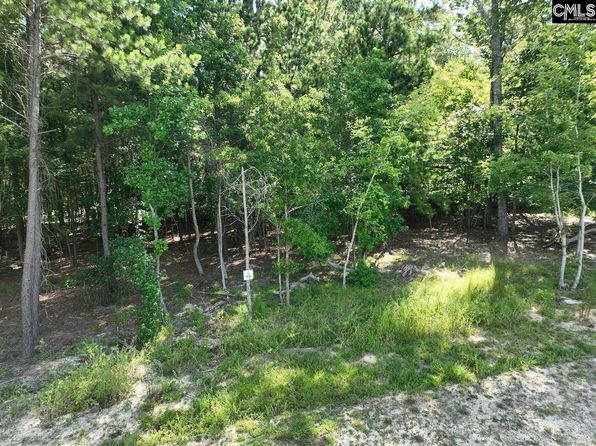 Timber Trail Dr