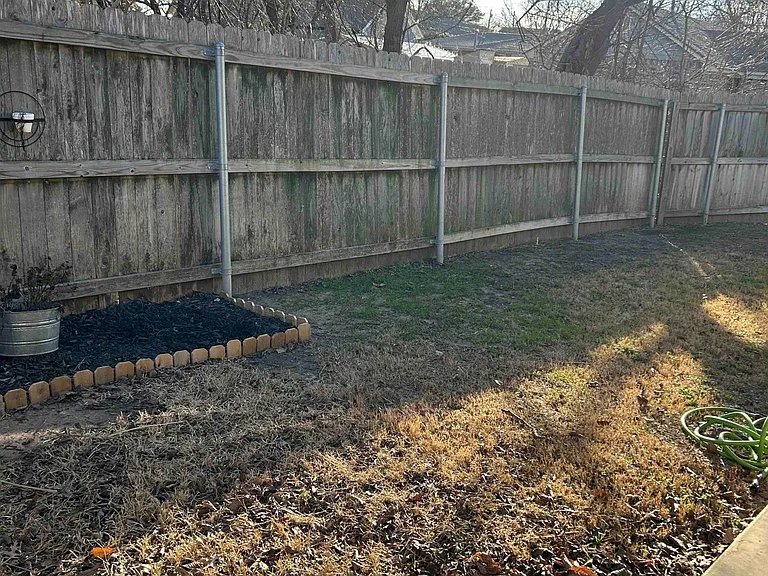 Back yard 1