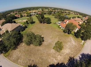 1181 Skye Ln, Palm Harbor, FL 34683