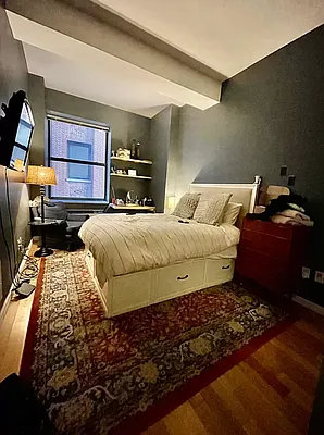 Rented by NY Living Solutions | media 2