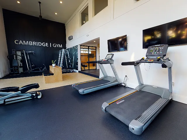 Fitness Studio - Cardio Machines