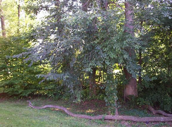 5th image of 4150 N Waterthrush Dr