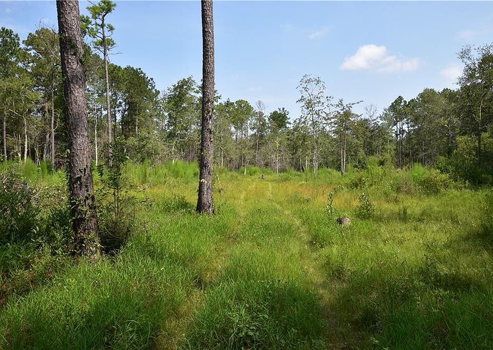 2nd image of 37323 Howard Oberry Rd