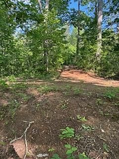 3rd image of LOT 110 Rivermist Pl