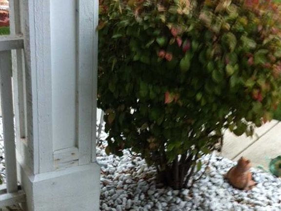 3rd image of 4847 Franklin Villas Dr